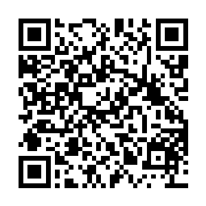 当香气充斥在整个房间的时候那海贝汤已然可以出锅了二维码生成