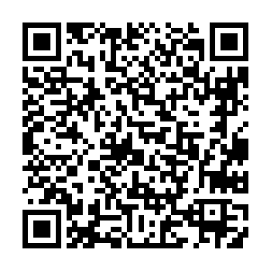 当马加特在赛前一天的新闻发布会上宣布了拜仁慕尼黑这场比赛的首发名单之后二维码生成