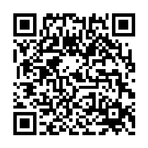 当马尔勒案开始让全国了解到pcr和dna鉴定的时候二维码生成