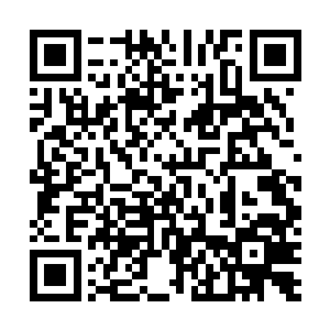 当马文和阿拉贡的面孔出现在诺丁汉女王的视野里的时候二维码生成