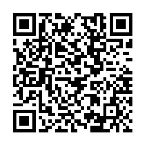 当麦星翻开书籍的时候发现这本书居然是无字书籍二维码生成