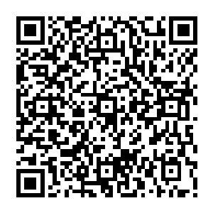 当9人打开大门进入到公寓房间里面时金在珉开始怀疑这群少女是不是在整蛊自己了二维码生成