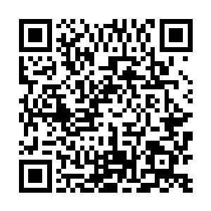 当iso那边的支援越来越多的时候叶秋想到了很多种可能二维码生成