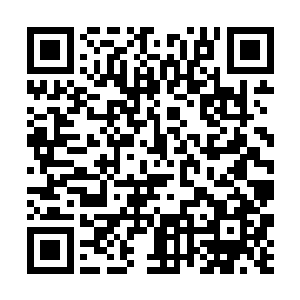 形态各异的恐怖僵尸们也逐渐往洞口这边攀爬了过来二维码生成