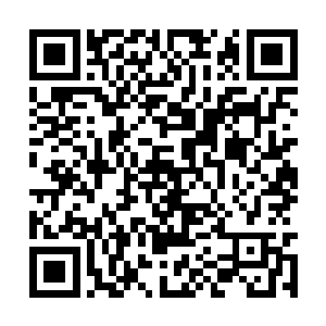 形成一股股恐怖的力量朝着那黑色的骷髅幻象涌去二维码生成