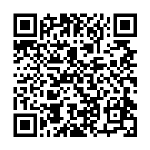 形成了一个五行世界向着那个黑色的剑尖笼罩了过去二维码生成