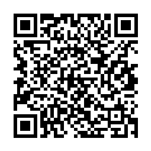 形成了一只只肉眼可见的气雾灵鹤和一头头的气雾灵鹿二维码生成