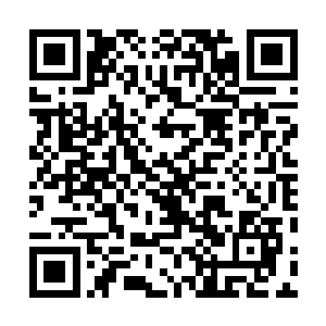 形成了一条血肉汇聚而成的河流一样朝远处急速奔涌而去二维码生成
