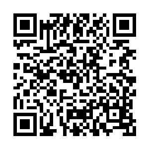 形成了一股强大的反震之力透过了上品神器战甲二维码生成