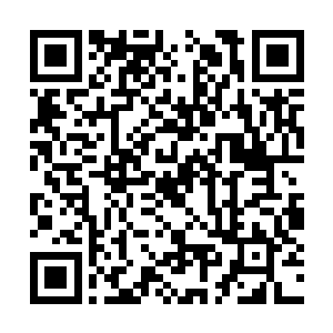 彤彤姑娘最近都在忙我们芝安市天姥峰这边的建设二维码生成