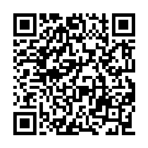 彤彤小姐真的带着那个懂中医的朋友过来了……二维码生成