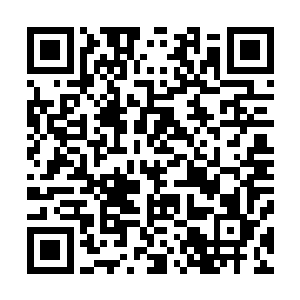 彤辉集团董事长刘彤辉早已率领彤辉大酒店的经理刘文山在二维码生成