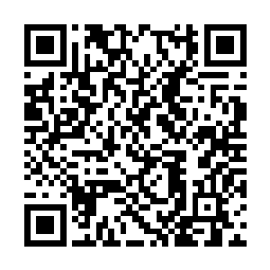 彦姓老者的精神之海就已经被司徒伯南的意志斩灭二维码生成