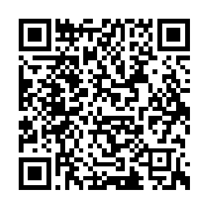 彭乐风和阿虎的两支教导队处在十分艰苦的境地二维码生成