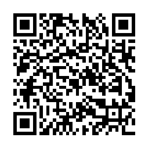 彭乐风带着的另一支突袭部队还没能夺取那个阵地二维码生成