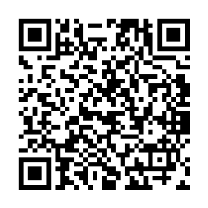 彭九站在河岸上手打着凉棚见张方平的车队已经走远了二维码生成