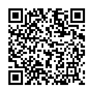 彭九背上插着四五枝犹在冒着火苗的箭矢朝着本阵大喊二维码生成