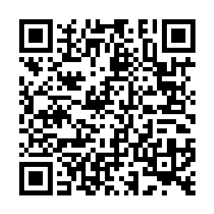 彭天武等长老看着那堆积得比山还要高的海量资源二维码生成