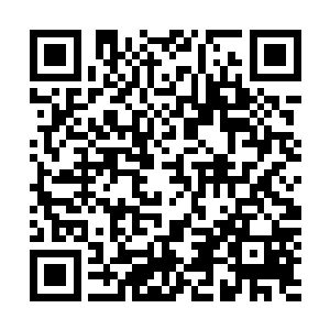 彭子麾下所谓的遮天盟人一个个发出了惨叫声先后倒在地上二维码生成