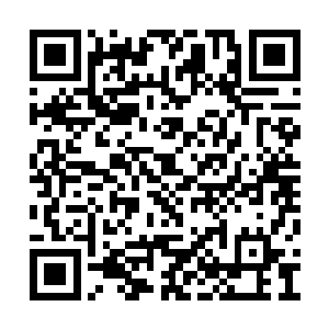 彭蠡先生三两天就过来一趟检查一下云峥的课业二维码生成