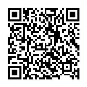 彭飞从怀里掏出一张准备好的五千万的支票交给严老板二维码生成