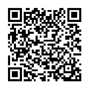 影响他们的很有可能就是这个能量球和内部的液体二维码生成