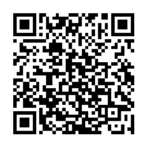 影姐过来给我和叶凝一人弄了一部在那边儿用的手机二维码生成