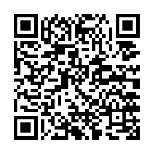 影子在将大招和唯一的控制技能用在这豹女身上以后二维码生成