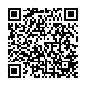 影片的类型已经决定了我们不可能拿到上千家规模的开画院线二维码生成