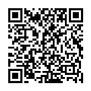 影虎那如同如同阴影一般的身体也开始被一口一口的撕裂二维码生成