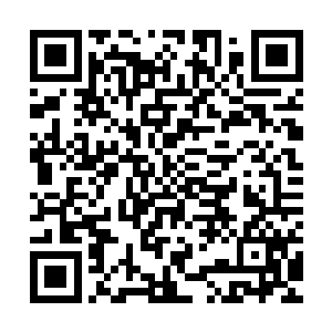 彷佛下一秒两个人就可以卷起袖子直接把对方打得鼻青脸肿一般二维码生成
