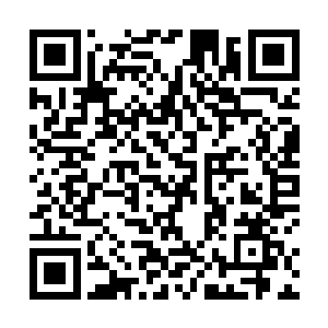 彷佛他们可以一点一点带走雨果内心的纷扰和苦痛一般二维码生成