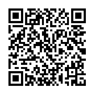 彷佛即将重新投入拍摄的雨果根本不值一提一般二维码生成