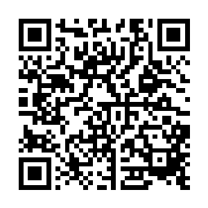 彷佛大手大脚享受奢华生活就像是成为了名利场一部分般二维码生成