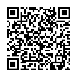 彷佛现在的福金和曾经的福金是全然不同的两个人二维码生成