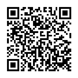 彷佛离开这里搬到豪华别墅里就像是对过去的一种背叛般二维码生成