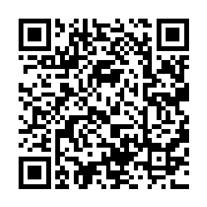 彻底将火星改造成一颗类似于史前恐龙时代地球的莽荒星球二维码生成