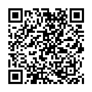 彻底挣脱了束缚的黑炭身上鳞甲渐渐有开合迹象二维码生成