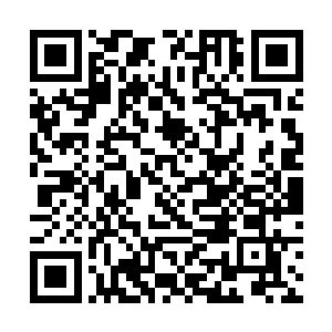 彻底明白了他的力量为什么会短时间内增强如此之多二维码生成