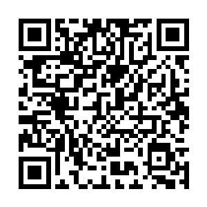 彼得带着两个看着有四十来岁的老兵到了高扬跟前二维码生成