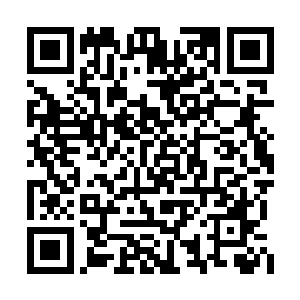 彼得站在共和国卫队师特种打击部队的队列前方二维码生成