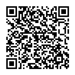 彼此之间的对立也是相对较少的……只有当新生命成长起来的时候二维码生成