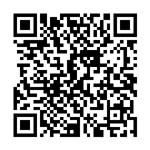 彼此并不算熟识的少年你一言我一语的表达着自己的想法二维码生成