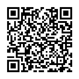 往事像放电影一样在晏晨的脑海里一遍又一遍回放二维码生成