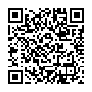 往前一冲就像跨栏一样蹭的一下就从窗户里跳了出来二维码生成