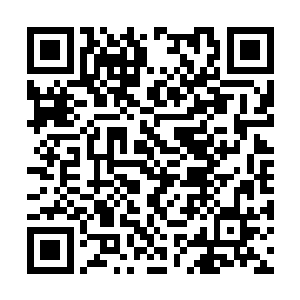 往后还要仰仗你在我和少施掌门之间做个传话筒呢二维码生成