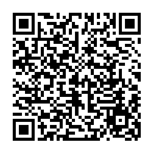 往往也不是凭借着本身数百人甚至数十人就直接击溃了什么大部落与土人王国二维码生成