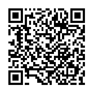 往往别人还没有反应过来时就已经留下一个背影二维码生成