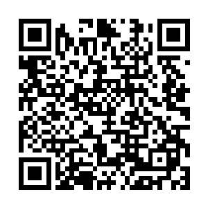 往往只有10只以上的豺狼人群落才会出现一只土狼二维码生成