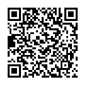 往往唯有在书上或者是网络上才能看到属于他们认知观中二维码生成